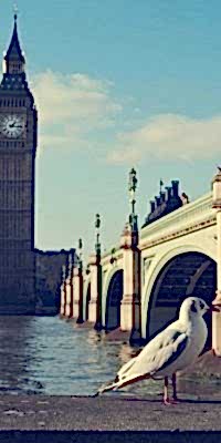 100e83b9-0737-4d1d-9e43-4ed4bfcfb37f