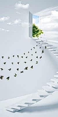 9cdc783f-a4ff-489b-9c05-7cd7ef3bc672